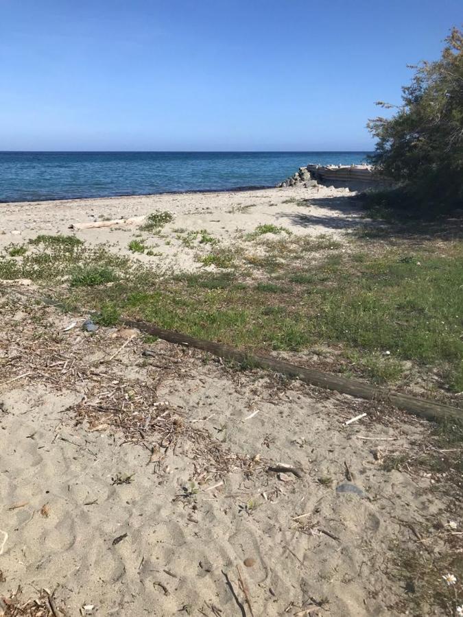 Corsica Studio Face A La Mer Moriani Plage Apartment San Nicolao Bagian luar foto
