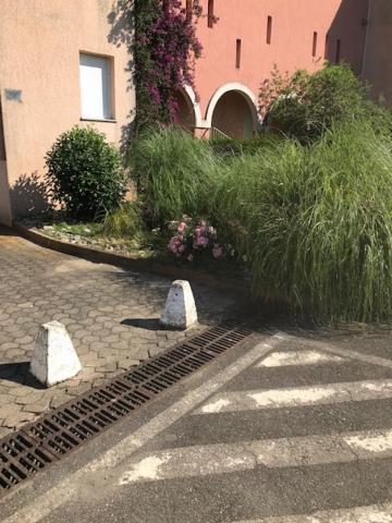 Corsica Studio Face A La Mer Moriani Plage Apartment San Nicolao Bagian luar foto